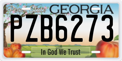 GA license plate PZB6273