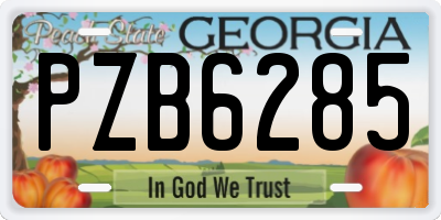 GA license plate PZB6285