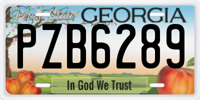 GA license plate PZB6289