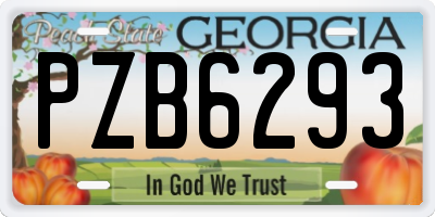 GA license plate PZB6293