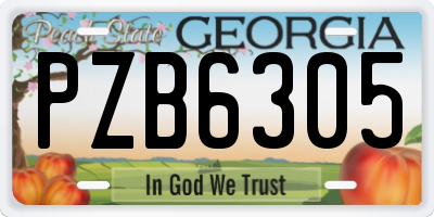 GA license plate PZB6305