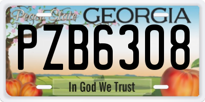 GA license plate PZB6308