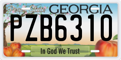 GA license plate PZB6310