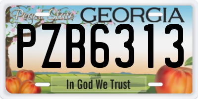 GA license plate PZB6313
