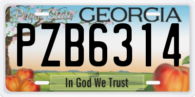 GA license plate PZB6314