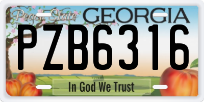 GA license plate PZB6316