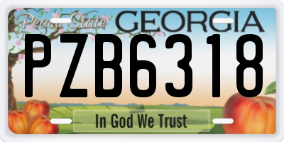 GA license plate PZB6318