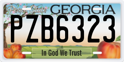 GA license plate PZB6323