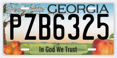 GA license plate PZB6325