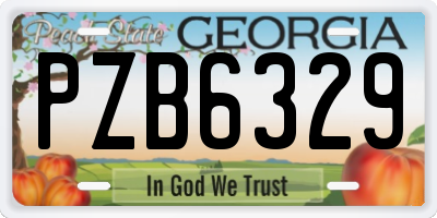 GA license plate PZB6329
