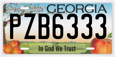 GA license plate PZB6333