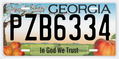 GA license plate PZB6334
