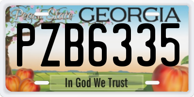 GA license plate PZB6335