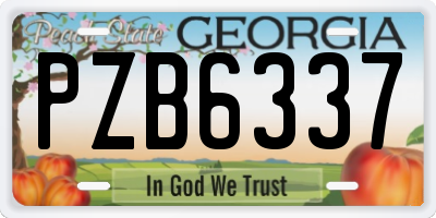 GA license plate PZB6337
