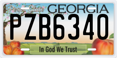 GA license plate PZB6340