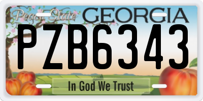 GA license plate PZB6343