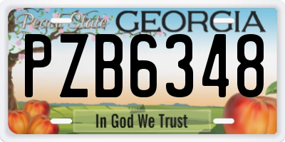 GA license plate PZB6348