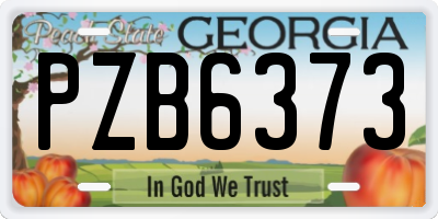 GA license plate PZB6373