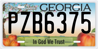 GA license plate PZB6375
