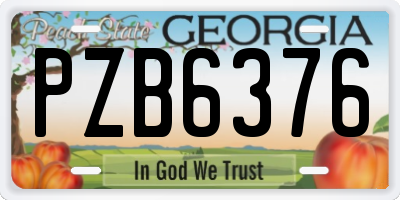 GA license plate PZB6376