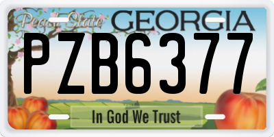 GA license plate PZB6377