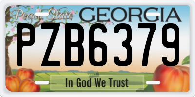 GA license plate PZB6379