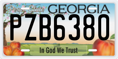GA license plate PZB6380