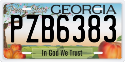 GA license plate PZB6383