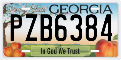 GA license plate PZB6384