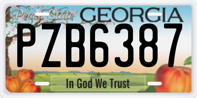 GA license plate PZB6387