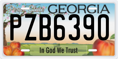 GA license plate PZB6390