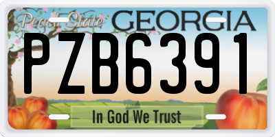 GA license plate PZB6391