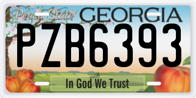 GA license plate PZB6393