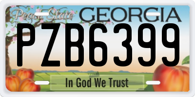GA license plate PZB6399