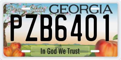 GA license plate PZB6401