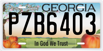GA license plate PZB6403