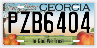 GA license plate PZB6404