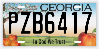 GA license plate PZB6417