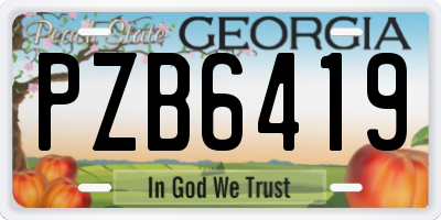 GA license plate PZB6419