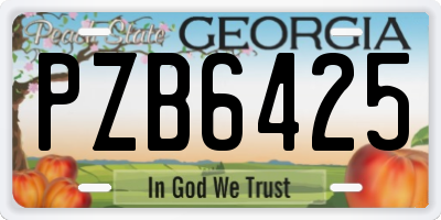 GA license plate PZB6425