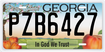 GA license plate PZB6427