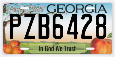 GA license plate PZB6428