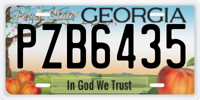 GA license plate PZB6435
