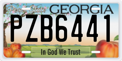 GA license plate PZB6441