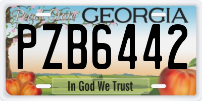 GA license plate PZB6442