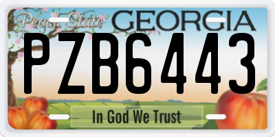GA license plate PZB6443