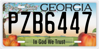 GA license plate PZB6447
