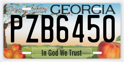 GA license plate PZB6450