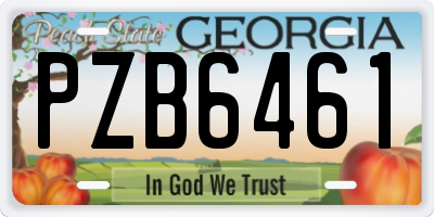 GA license plate PZB6461