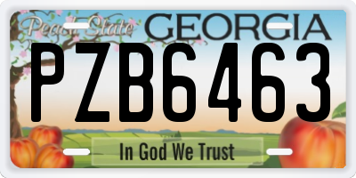 GA license plate PZB6463